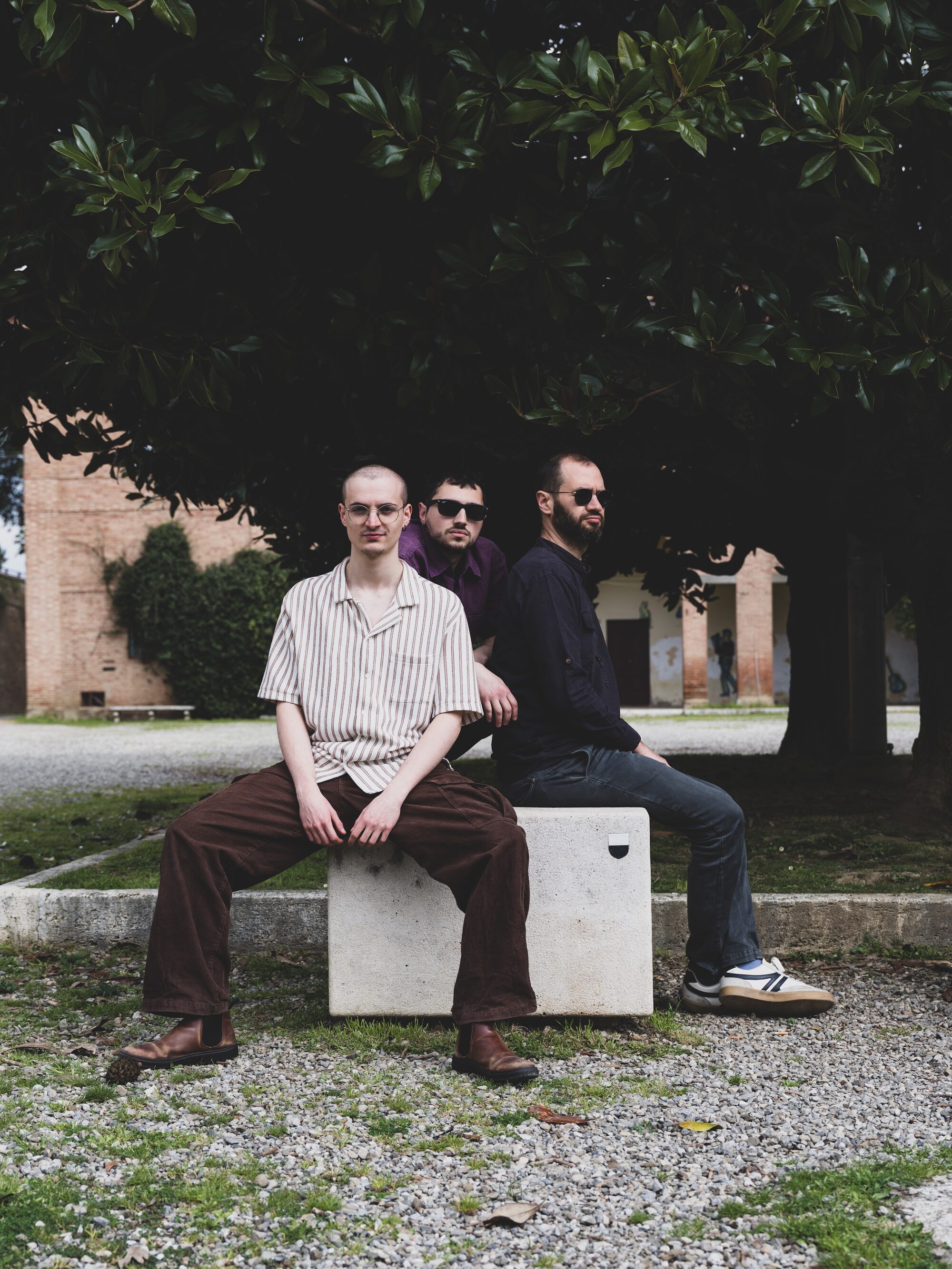 Lost IQ under a magnolia tree — Giuseppe Vitale, Giuseppe Salime and Francesco Faro